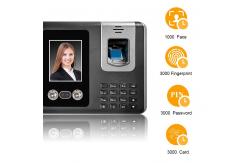 China Fingerprint Reader TM F661 Biometric Time Attendance Machine supplier
