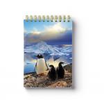 Sea Animal Image Custom Printed Spiral Notebooks 3D Cover High Definition