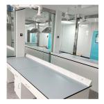 Customizable Lab Wall-Mounted Bench With Length*W750*H850mm And Ceramic Table Top