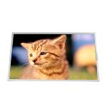 B125XW02 V0 13.0 inch 1366*768 TFT-LCD Screen Panel for sale