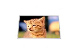 China B125XW02 V0 13.0 inch 1366*768 TFT-LCD Screen Panel supplier