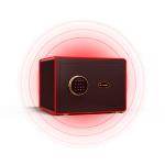 11kg Dual Alarm Home Safe Box Biometric Fingerprint Lock With Glossy Surface Treatment