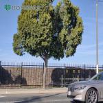 Garden PVC Coated L2500mm Double Wire Mesh Fencing for sale