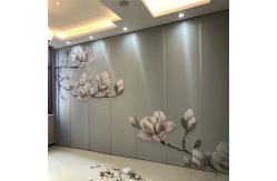 China Hotel Banquet Movable Partition Walls Partitioning For Function Meeting Room supplier