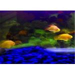 Temperature Resistant Luminous Garden Stones With 12 Hours Glowing for sale
