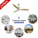 Lighting solutions service 1stshine LED ceiling fan with remote and down rod