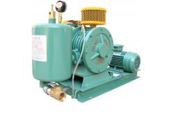 China Low Energy Consumption Hc Series Hc 251s Rotary Air Blowers Low Noise supplier
