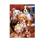 Lovely Cats And Dogs 3D Lenticular Pictures Printing Customized Size
