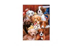 China Lovely Cats And Dogs 3D Lenticular Pictures Printing Customized Size supplier