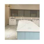 Customized Biology Lab Furniture With 1500*850mm Length And Number Of Doors for sale