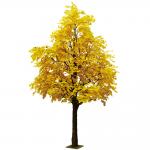 Nearly Natural Finished Artificial Ginkgo Tree 10 Foot Green Plant Plastic Nursery for sale