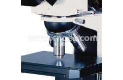 China Ergonomic Research Binocular Metallurgical Optical Microscope 50X - 600X A13.0202 supplier