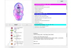 China 85% Accuracy 8D Nls Body Health Analyzer Advanced Quantum Magnetic Aura Chakra Machine supplier