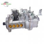 Fuel Injection Pump 1JG410-1111100-493 for YCD4J22T-115 Engine