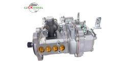 China Fuel Injection Pump 1JG410-1111100-493 for YCD4J22T-115 Engine supplier