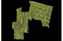 China Forestry Surveying Drone LiDAR Geosun GS-260X Aerial Mapping Solution supplier