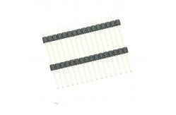 China 2.54mm Pin Headers and Sockets DIP  Dual Plastic Single Row  L=38mm supplier