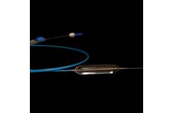 China Disposable Wire Guide Dilation Balloon Catheter For Digestive Tract supplier