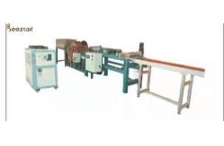 China Full Automatic Two Sheets One Time Beeswax Press Machine And Foundation Machine supplier