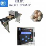 High Output Egg Marking Equipment To Print Serial Number / Effective Date for sale