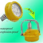20W 2000lm Cree Gas Station LED Canopy Light 36V DC , IP67 Portable LED Marine Light for sale