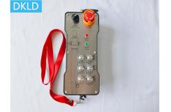 China Explosion Proof Remote Control supplier