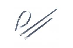 China Ball Lock Stainless Steel Epoxy Coated Cable Tie for Extreme Temperature Environments supplier