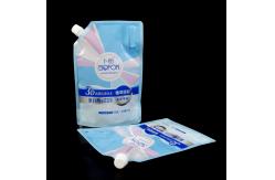 China 1L Detergent Angled Spout Pouch PET AL PE Laminate Leak Proof Wide Nozzle supplier