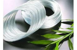 China 1.6mm Anti Rust Electrogalvanized Wire Making Wire Mesh supplier