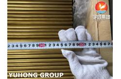 China ASTM B111 C68700 Aluminium Brass Seamless Heat Exchanger and Boiler Tube supplier