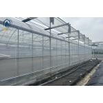 Multi Span Greenhouse System For Tomatoes And Peppers Maximize Crop Yield
