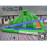 CE / UI Green Bouncy Inflatable Slide Water Jumper With Swimming Pool