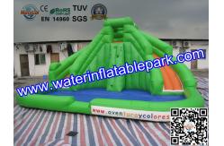 China CE / UI Green Bouncy Inflatable Slide Water Jumper With Swimming Pool supplier