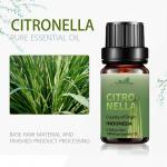 Nourishing Pure Aroma Citronella Essential Oil 10ml COA Massage for sale