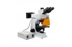 China 3W LED Coaxial Coarse Fine Focusing Fluorescence Microscope CE / Rohs Certification supplier