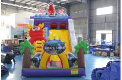 China Custom Printed Inflatable Dry Slide with Bouncy Castle Design for Kids Events supplier