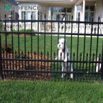 Powder Coated 3.0mm Double Wire Mesh Fence 50x200mm for sale