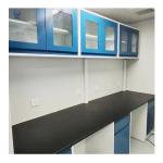 Adjustable Lab Wall Bench Side Anti Corrosion High Durability W750*H850mm for sale