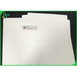 Waterproof Matte PP & PET 200um Synthetic Polypropylene Paper Roll Or Sheets