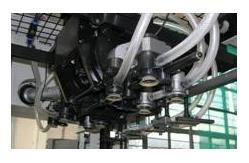 China PRY-106 Automatic Paper Die Cutting Machine With Stripping And Blanking supplier