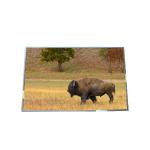 Supply 17.0 inch B170PW03 V5 99PPI TFT LCD Panel for sale