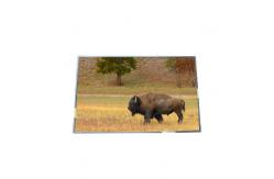 China Supply 17.0 inch B170PW03 V5 99PPI TFT LCD Panel supplier