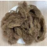 Recycled Polyester Staple Fiber 25D 65mm Deep Camel Color for sale