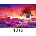 Environmentally Friendly 3d Lenticular Photo / Custom Lenticular Printing