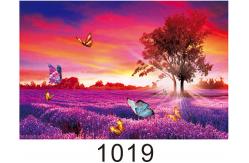 China Environmentally Friendly 3d Lenticular Photo / Custom Lenticular Printing supplier