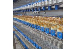 China                  Bread Cake Pizza Hamburger Cooling Spiral Tower Conveyor              supplier
