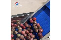 China 2Pcs/Min Fruit And Vegetable Automatic Elevator Food Conveying supplier