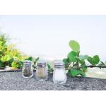 Useful And Aesthetically Attractive Glass Salt Pepper Shaker Set With Condiment
