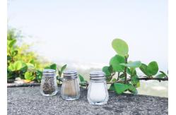 China Useful And Aesthetically Attractive Glass Salt Pepper Shaker Set With Condiment supplier