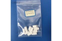 China Ceramic Cartridge for Olympus A22040A Electroscope supplier